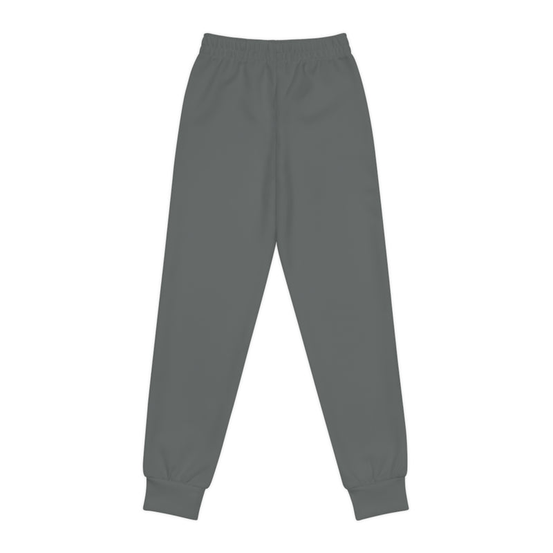 X 1.0 Youth Joggers (Grey)